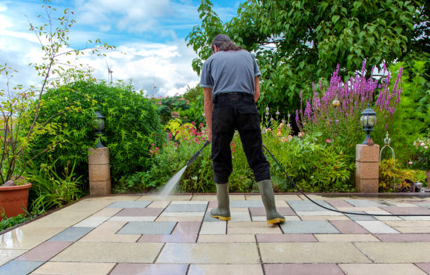 Best Restaurant Pressure Washing  in Sauk Centre, MN